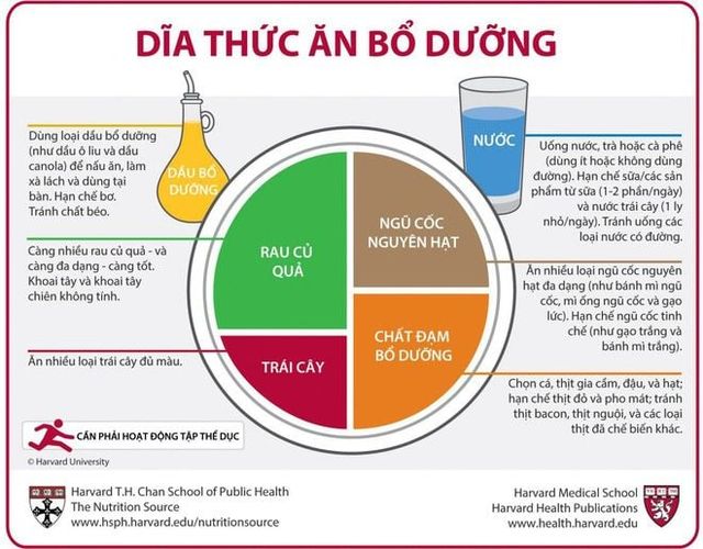 Không có mô tả ảnh.